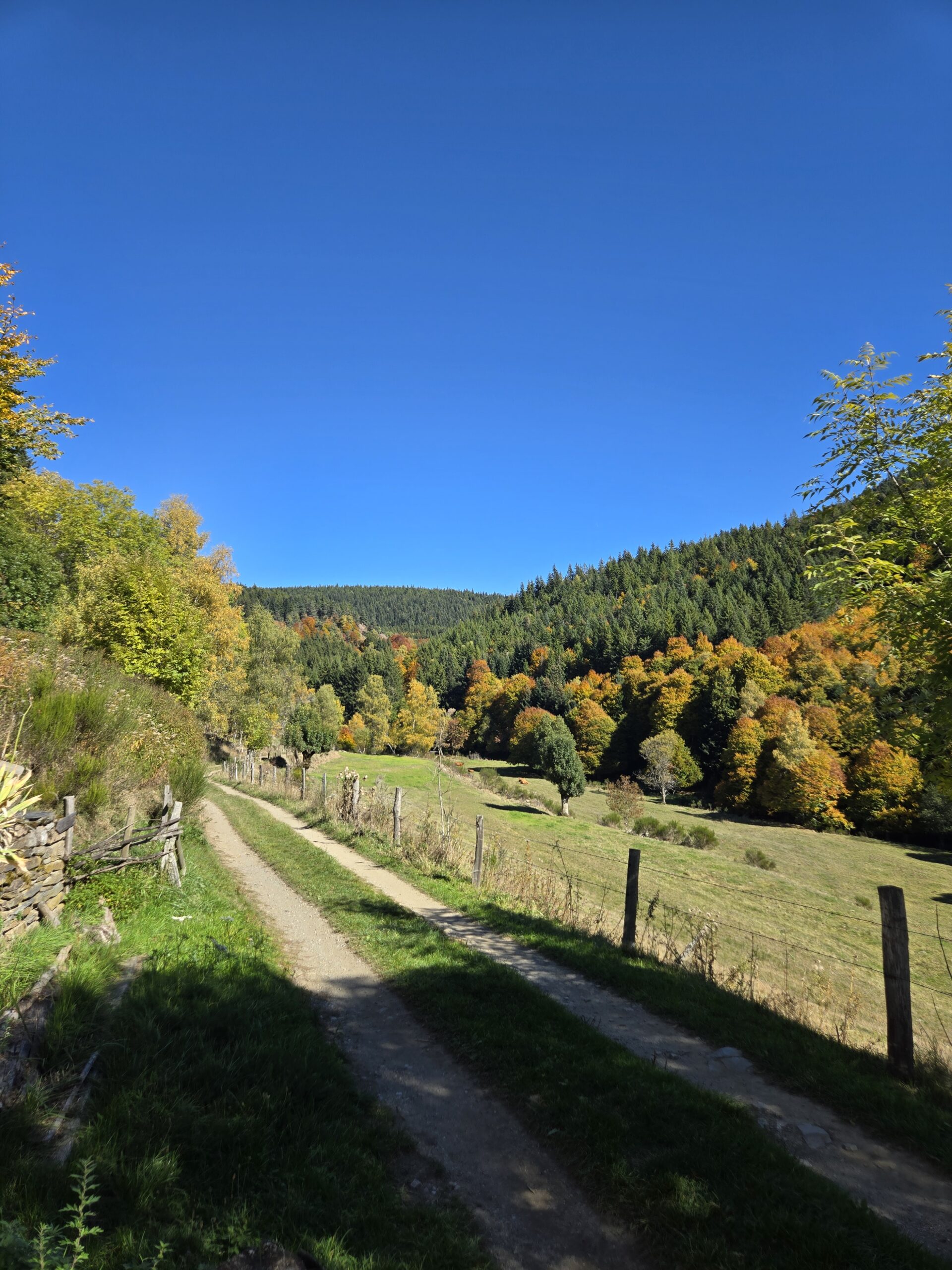 Au bout du chemin en automne