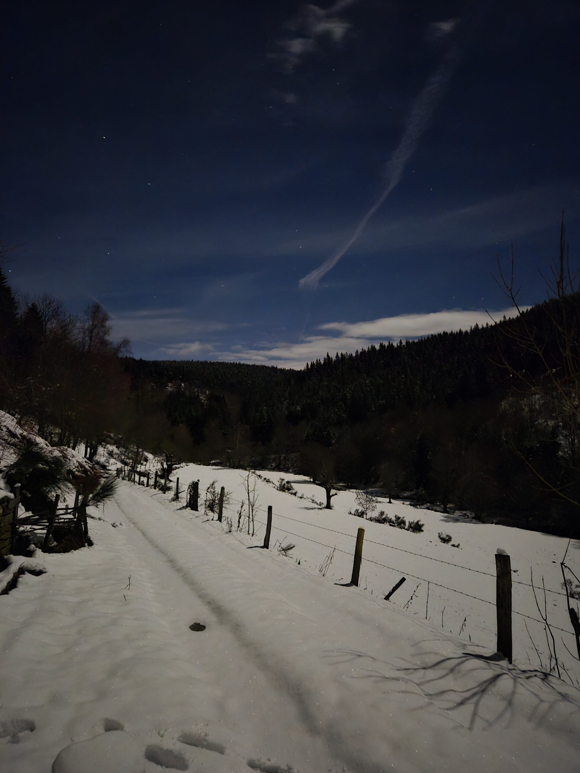 Chemin enneigée en pleine lune
